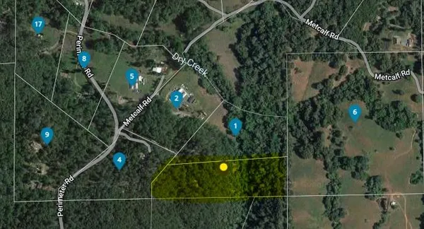 a view of a tree with a tree