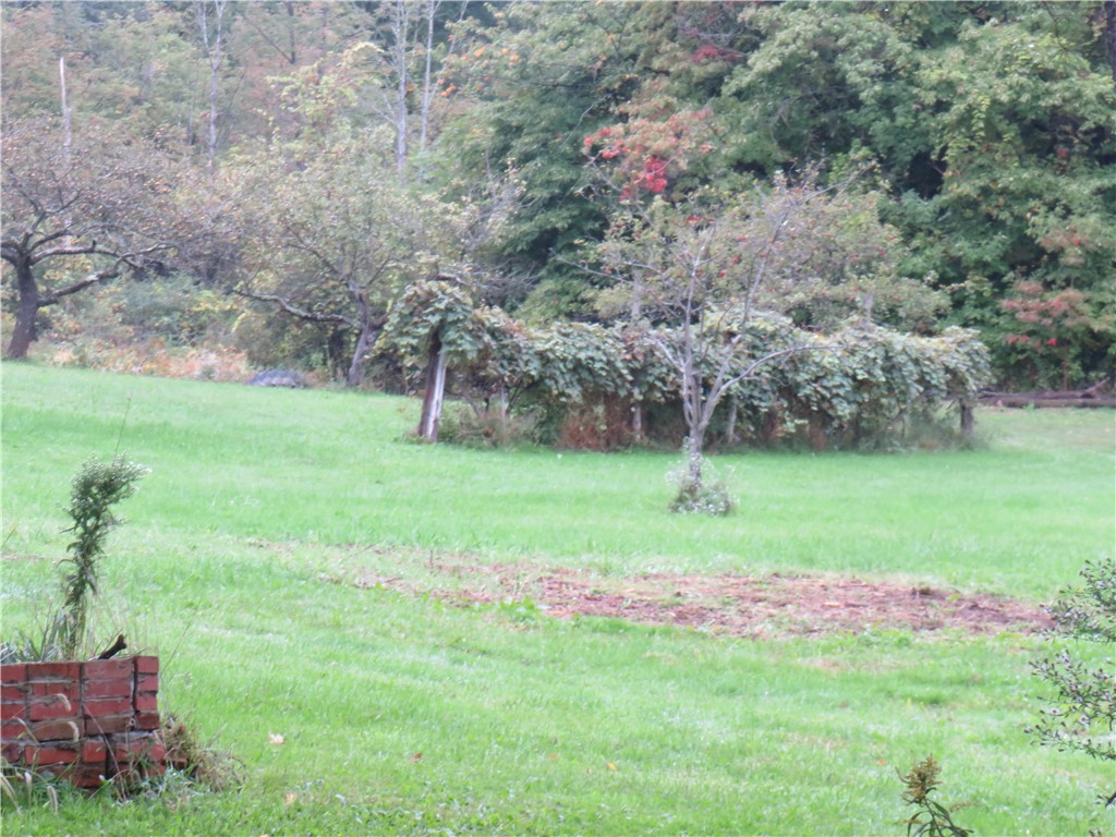 6014 Old Lake Road Starkey, NY 14878 - Photo 37 of 39 Gallery Image 37