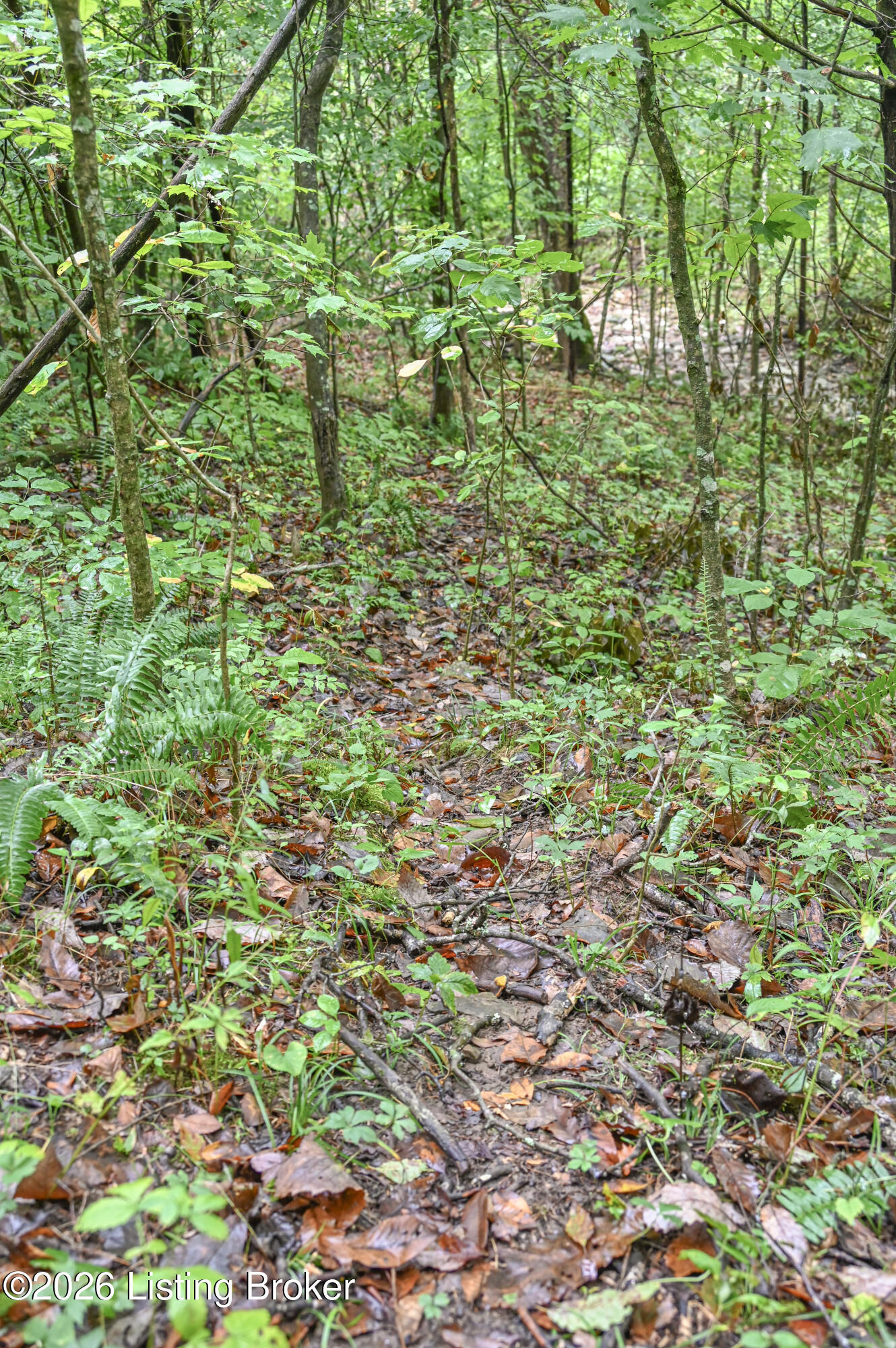 585 Tucker Higgs Road Hudson, KY 40145 - Photo 13 of 15 5-DSC_2390