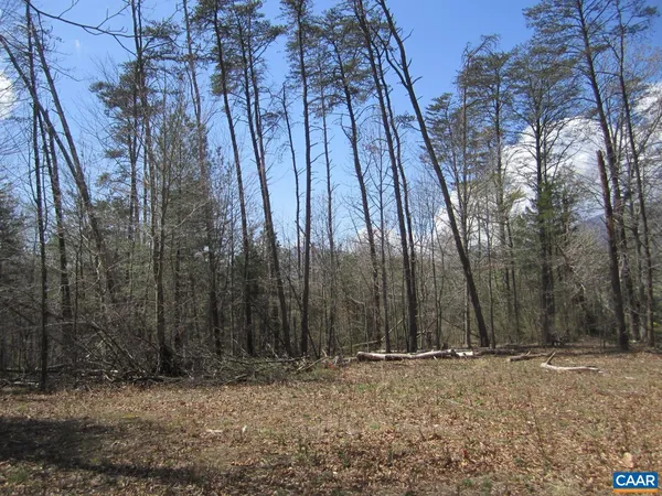$79,900 | 5 Logan Place, Unit 5, Nellysford, VA 22958