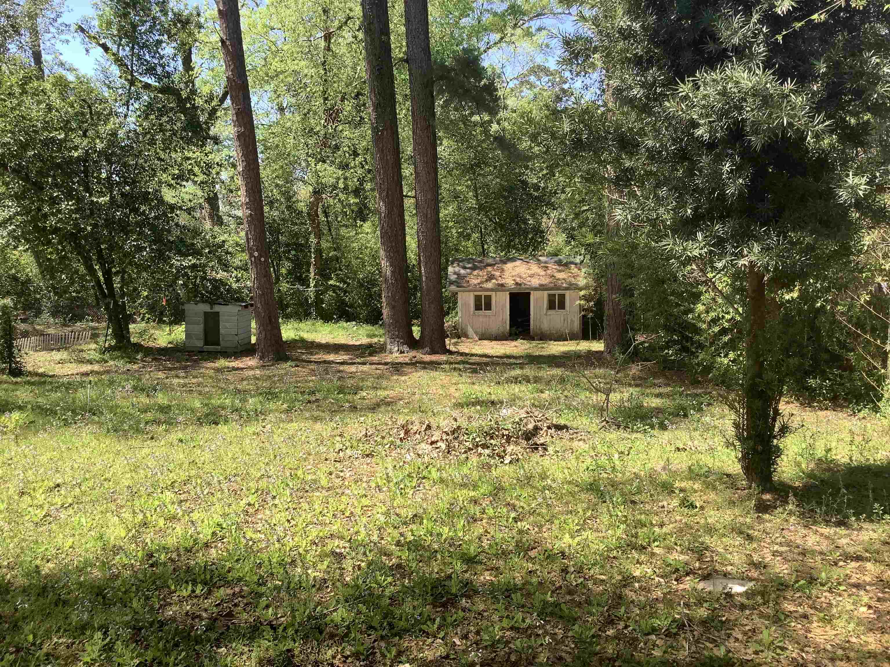 551 3rd Street Jasper, TX 75951 - Photo 11 of 12