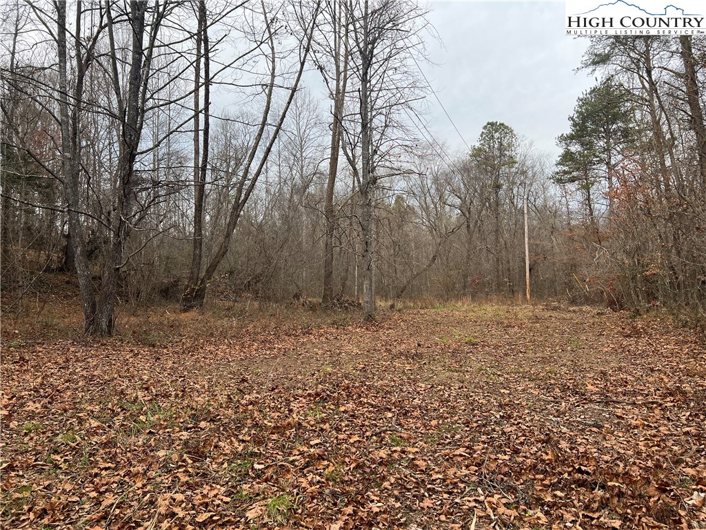 0 Rooley Lane Dobson, NC 27017 - Photo 44 of 47 Gallery Image 44