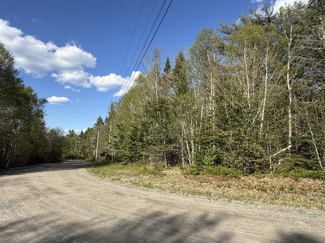 Lot 13 Pidgeon Point Road Whiting, ME 04691 - Photo 5 of 25 IMG_9953 (2)
