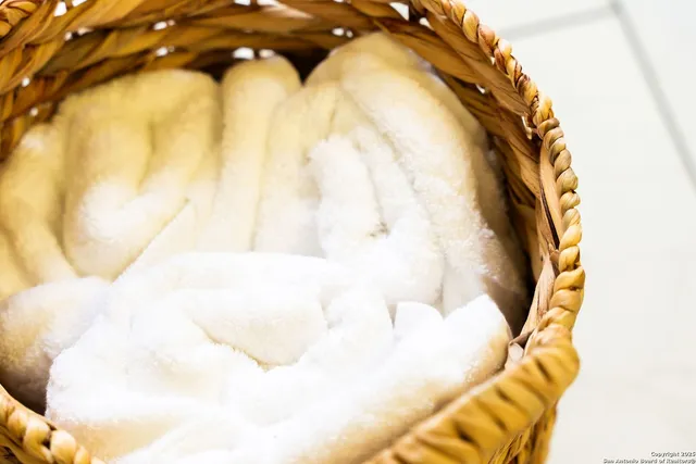 $3,700 | 8410 Oak Fence Street, San Antonio, TX 78251