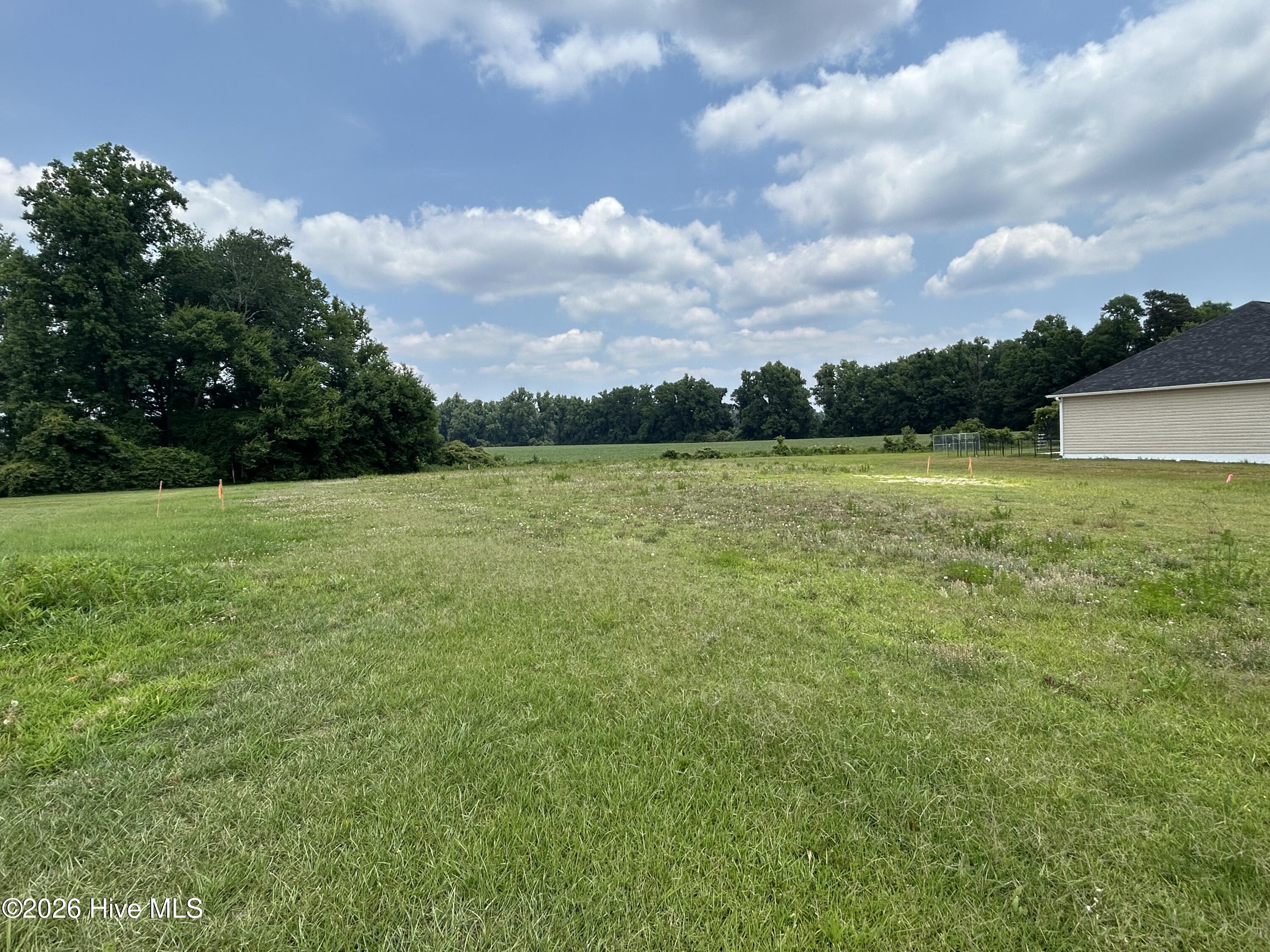 239 Cavanaughtown Road Richlands, NC 28574 - Photo 5 of 21