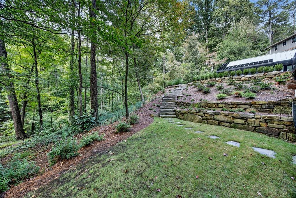 585 Amberidge Trail Northwest Atlanta, GA 30328 - Photo 77 of 85 a view of a lush green forest with lots of trees