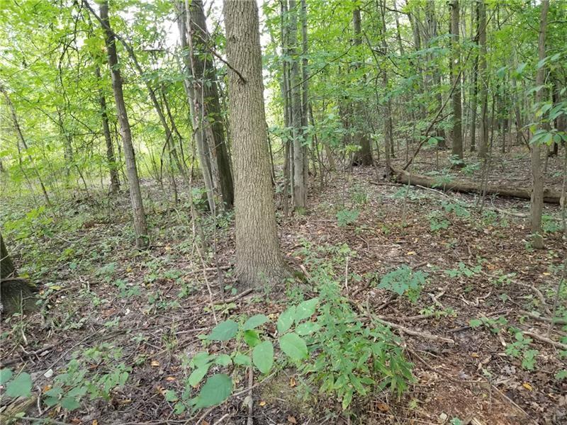 3367 B Sample Road Hermitage, PA 16148 - Photo 3 of 20 Gallery Image 3