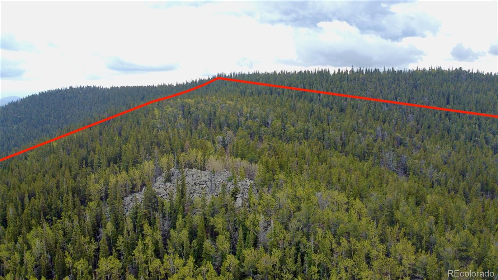 0 Hidden Wilderness Road Evergreen, CO 80439 - Photo 4 of 29