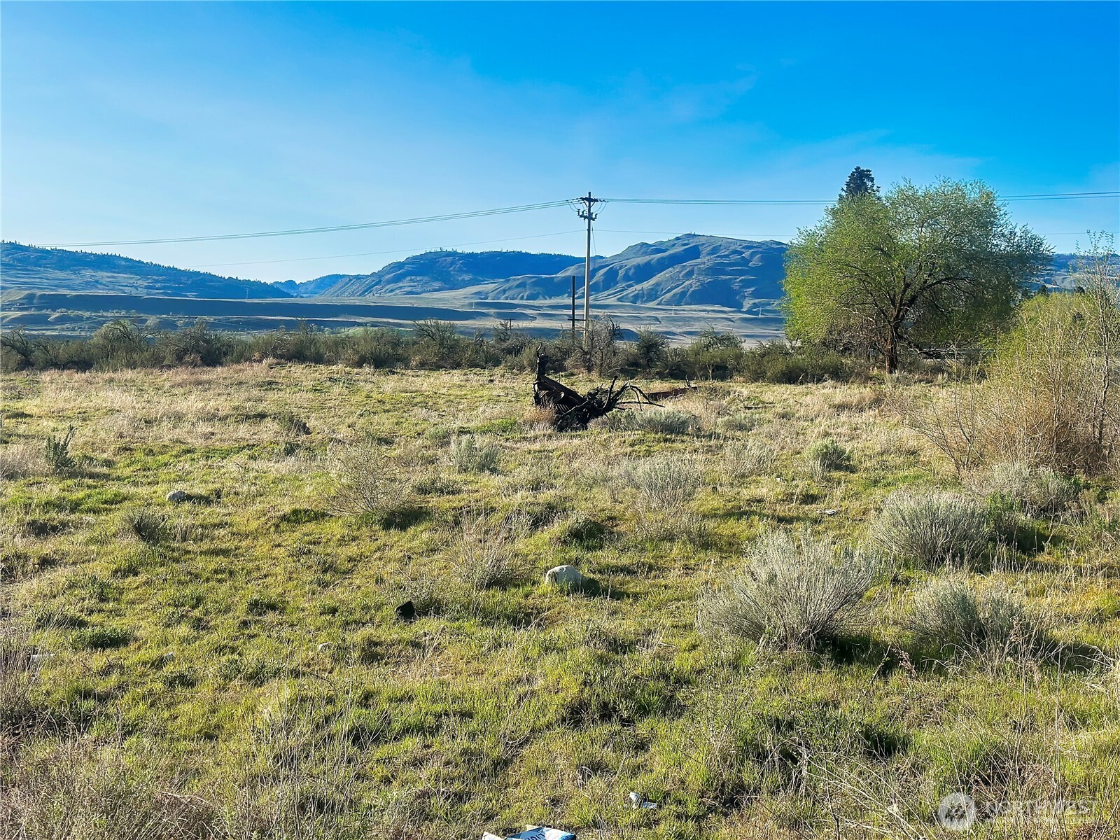 0 Duck Lake Road Omak, WA 98841 - Photo 6 of 8