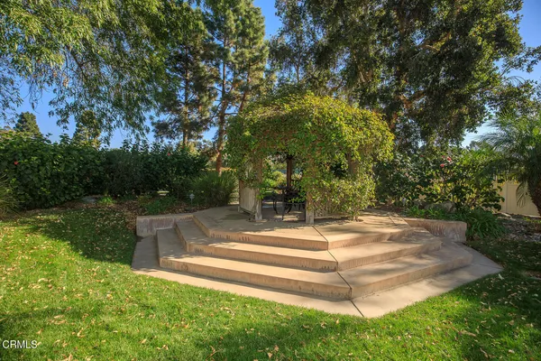 a view of a backyard with plants and outdoor seating