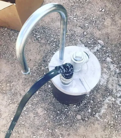 a view of a yard with trees