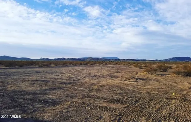 a view of a lake in middle of forest
