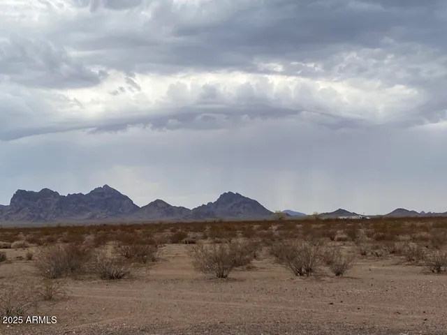 a view of a mountain in the distance in a field