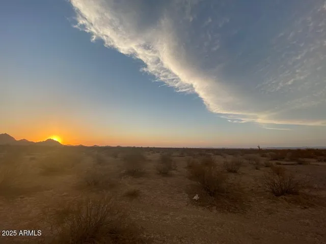 a green field with trees in the background