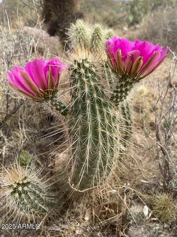 $148,000 | 39003 Avenue 41 East, Salome, AZ 85348