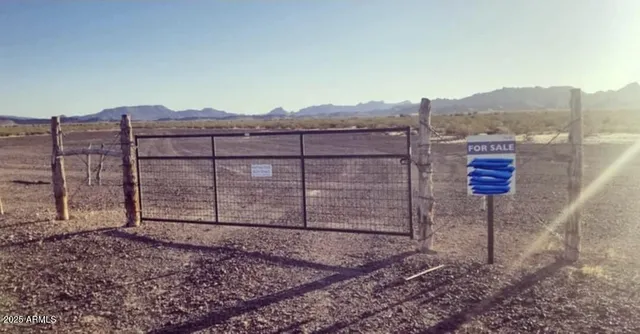 a view of a dry backyard with wooden fence