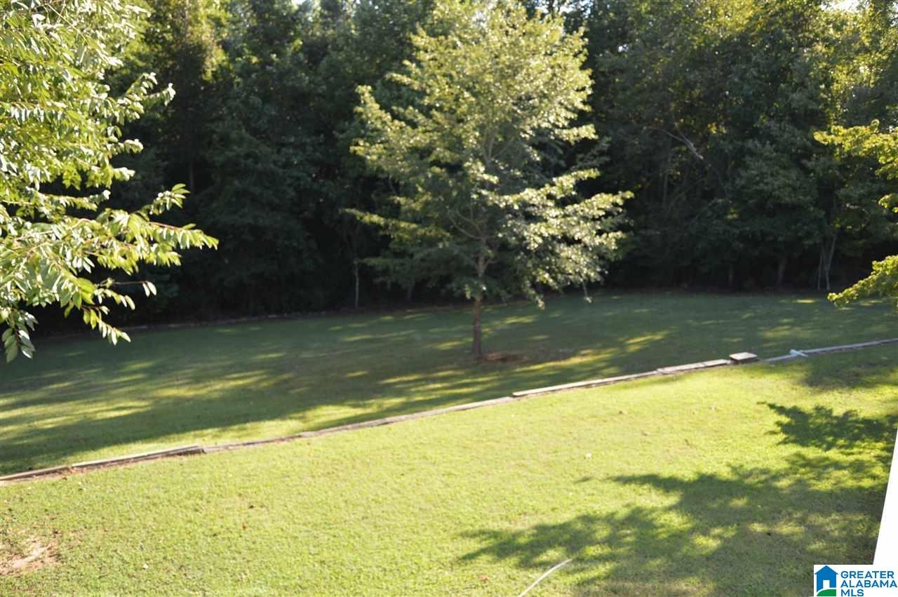 709 Paige Road Empire, AL 35063 - Photo 27 of 34