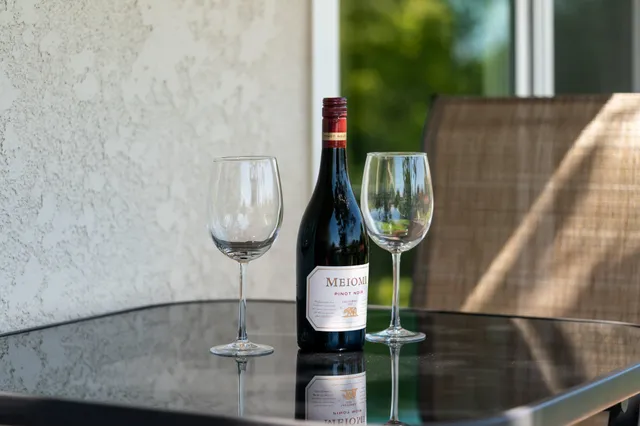 a view of backyard with cabin and potted plants