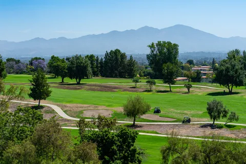 a view of a park with large trees