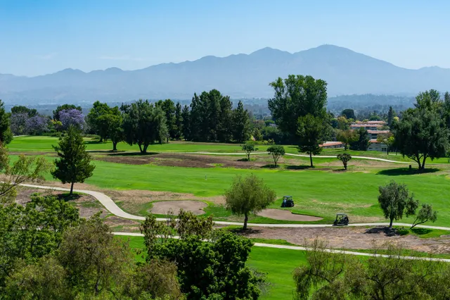 a view of a park with large trees