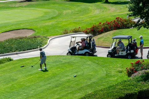 a view of a park with houses