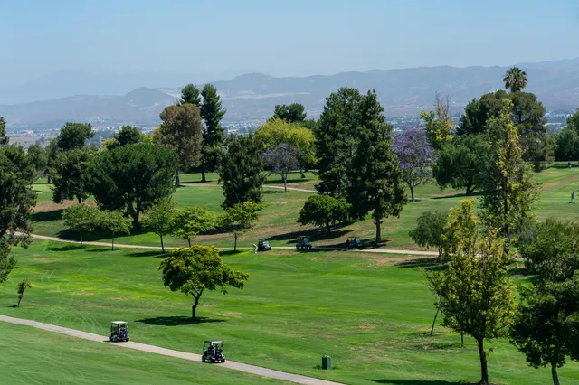 a view of a park with large trees
