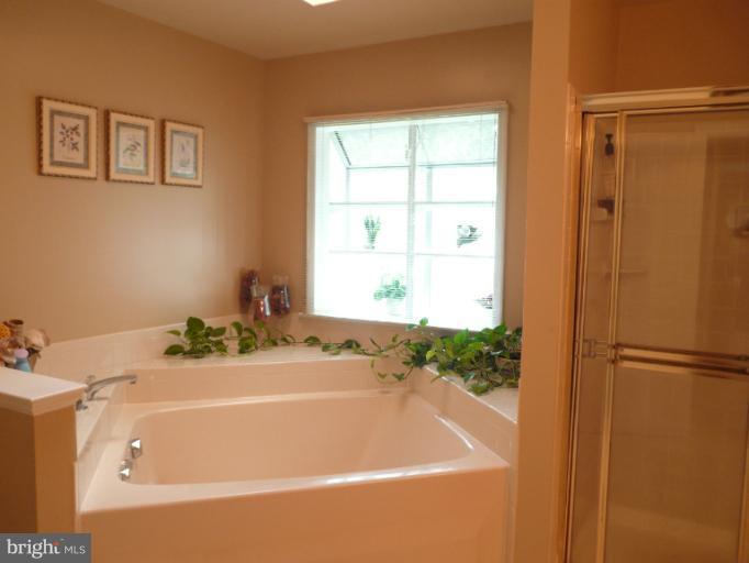 7812 Windy Point Court Springfield, VA 22153 - Photo 11 of 24 Bath (Master)