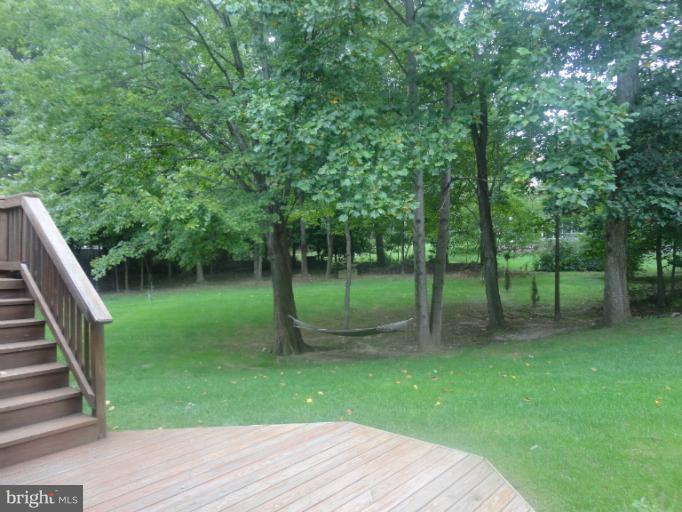7812 Windy Point Court Springfield, VA 22153 - Photo 22 of 24 Yard view from Lower Deck