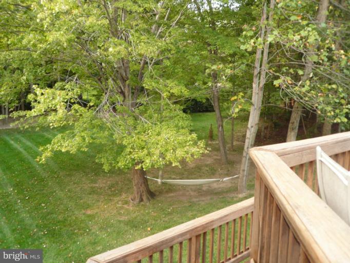 7812 Windy Point Court Springfield, VA 22153 - Photo 10 of 24 Back Yard