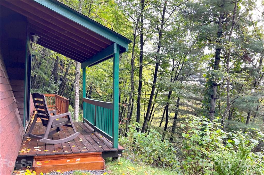 382 Long Branch Road Maggie Valley, NC 28751 - Photo 7 of 48 Gallery Image 7