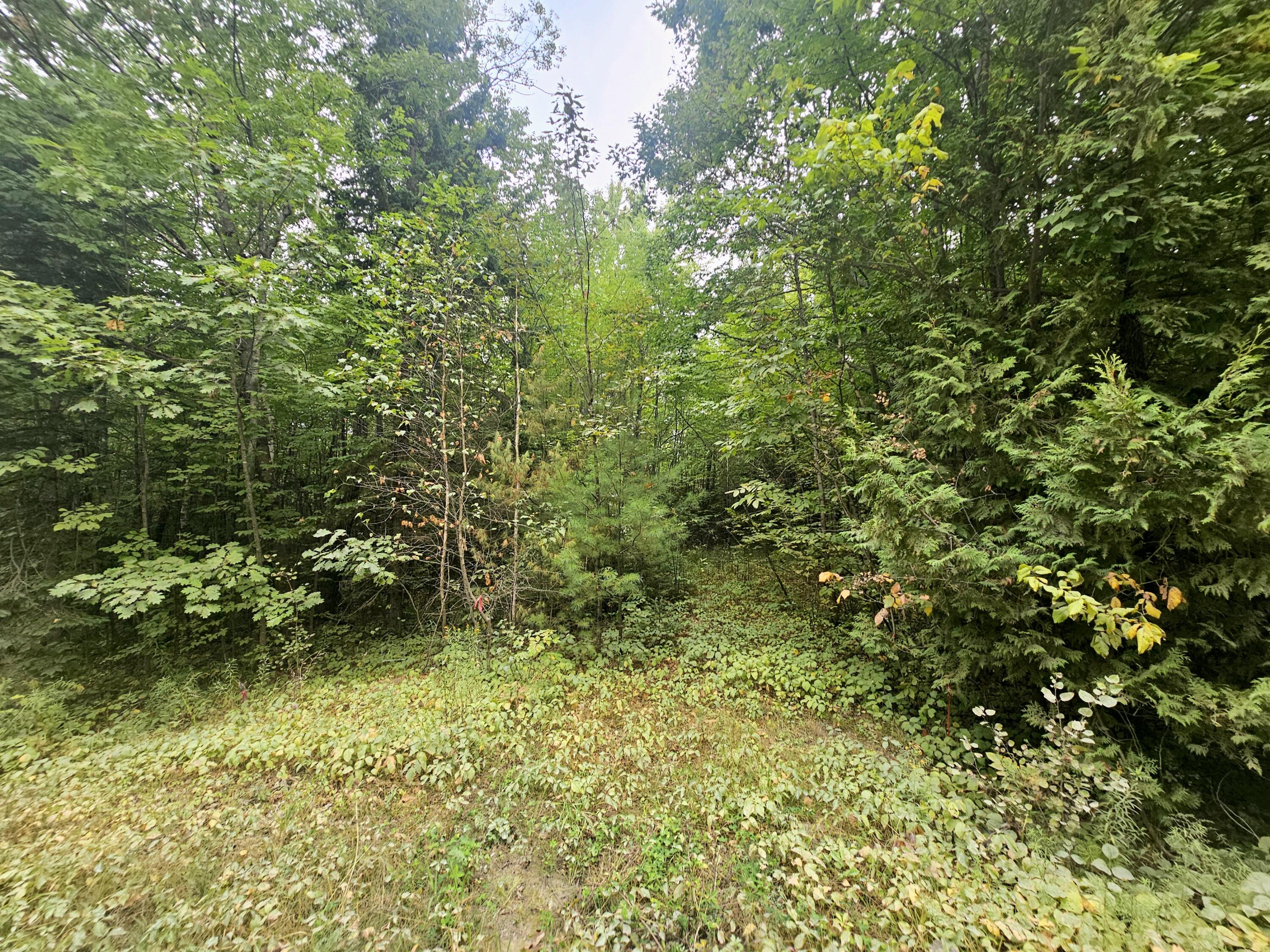 596 Clark Road Plymouth, ME 04969 - Photo 2 of 2 land