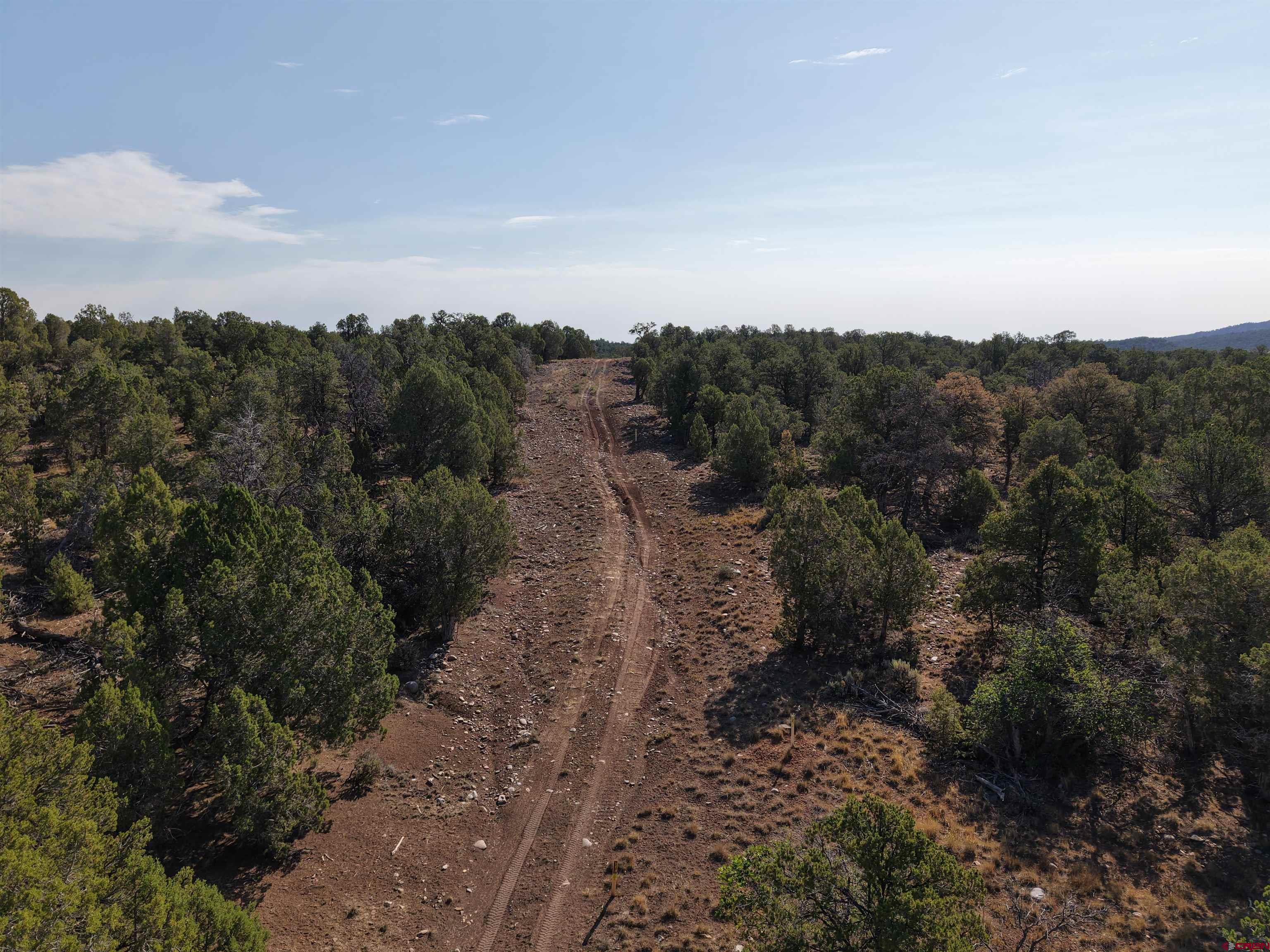 310 Ignacio Co 81137 Ignacio, CO 81137 - Photo 10 of 25