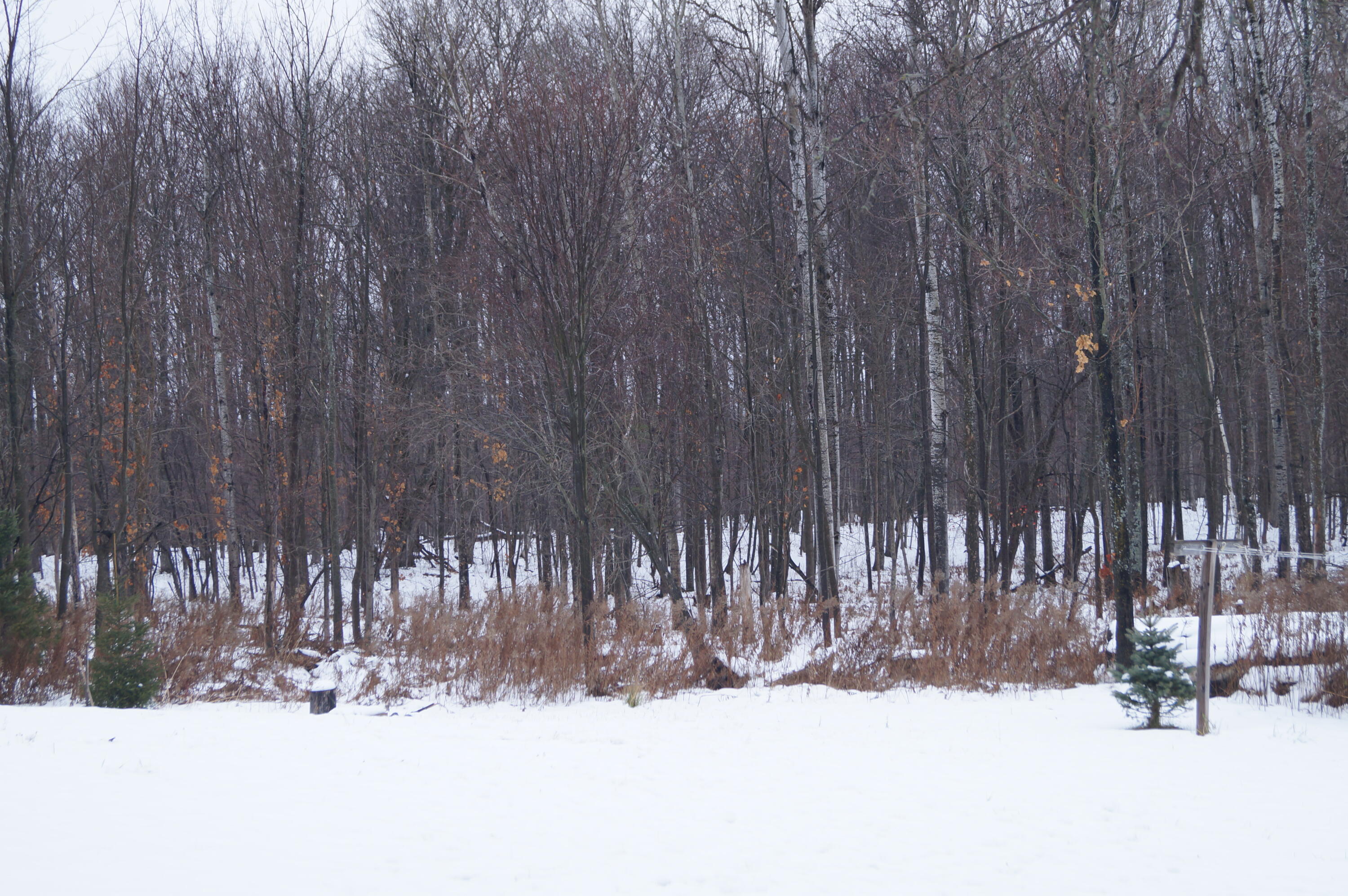 1108 West Van Road Pellston, MI 49769 - Photo 16 of 17 Gallery Image 16