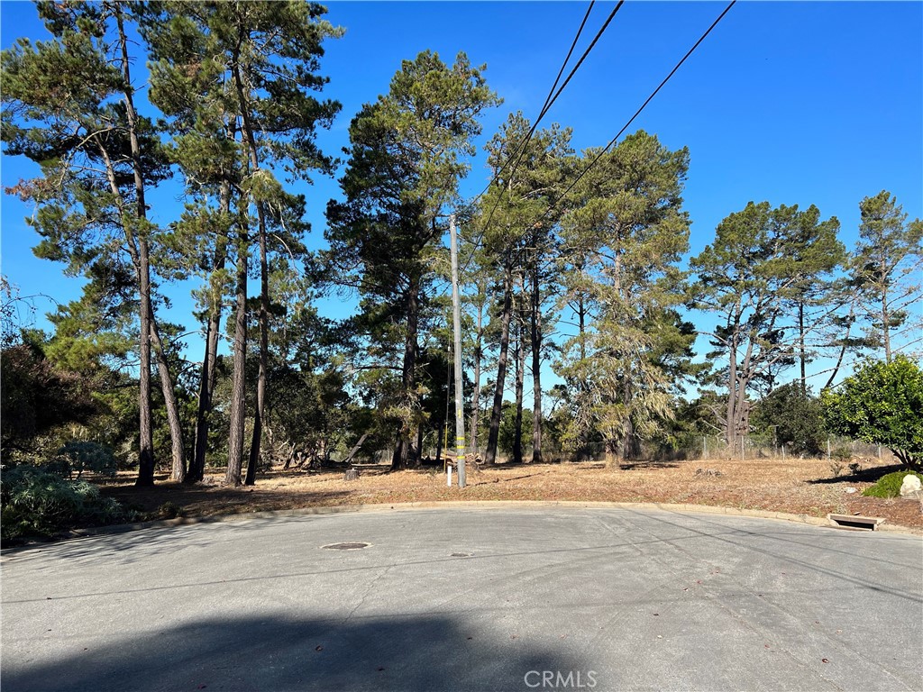 2585 Banbury Road Cambria, CA 93428 - Photo 1 of 1 Quiet Cul de Sac Location