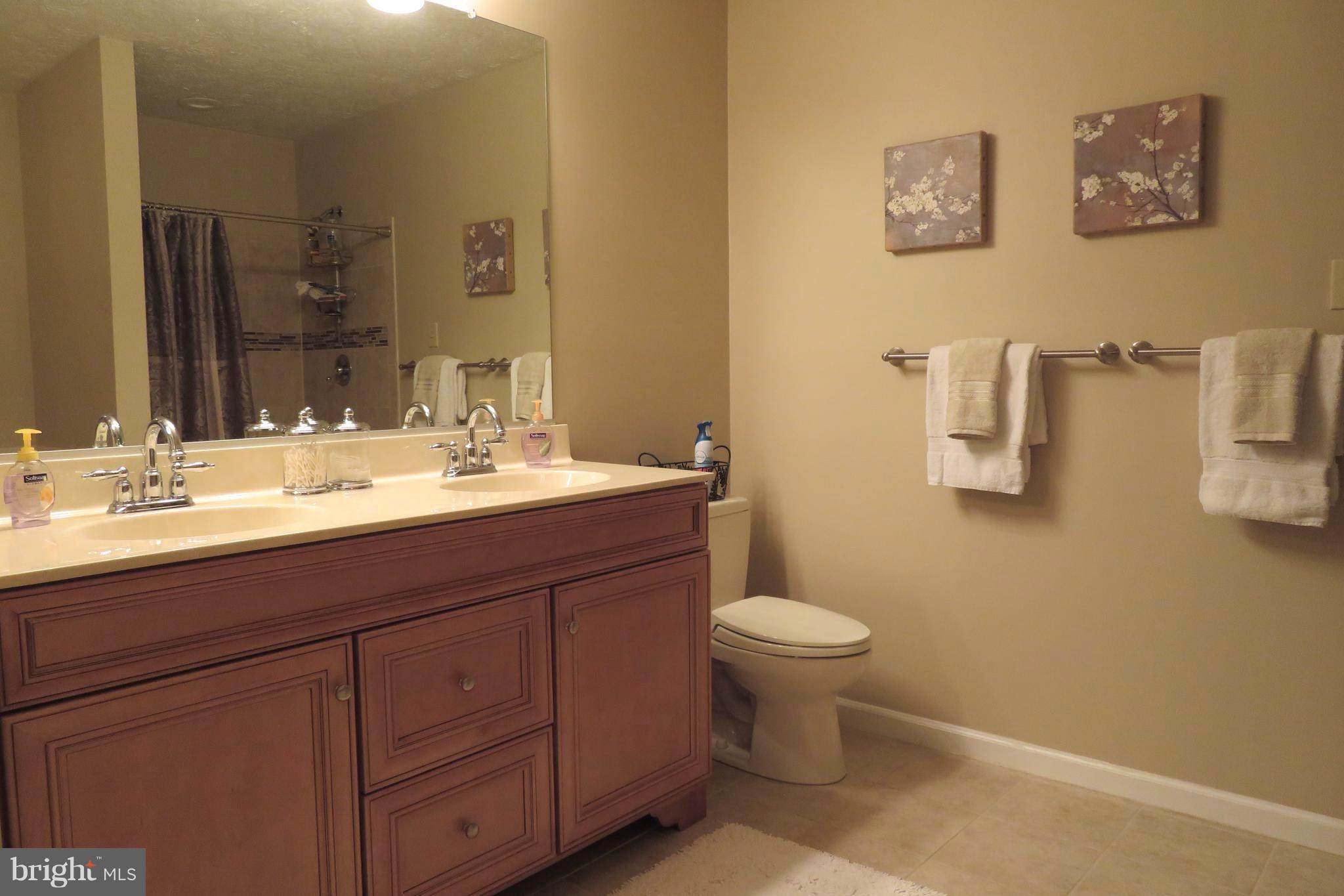 1063 Long Valley Road Westminster, MD 21158 - Photo 16 of 30 Bath (Master)