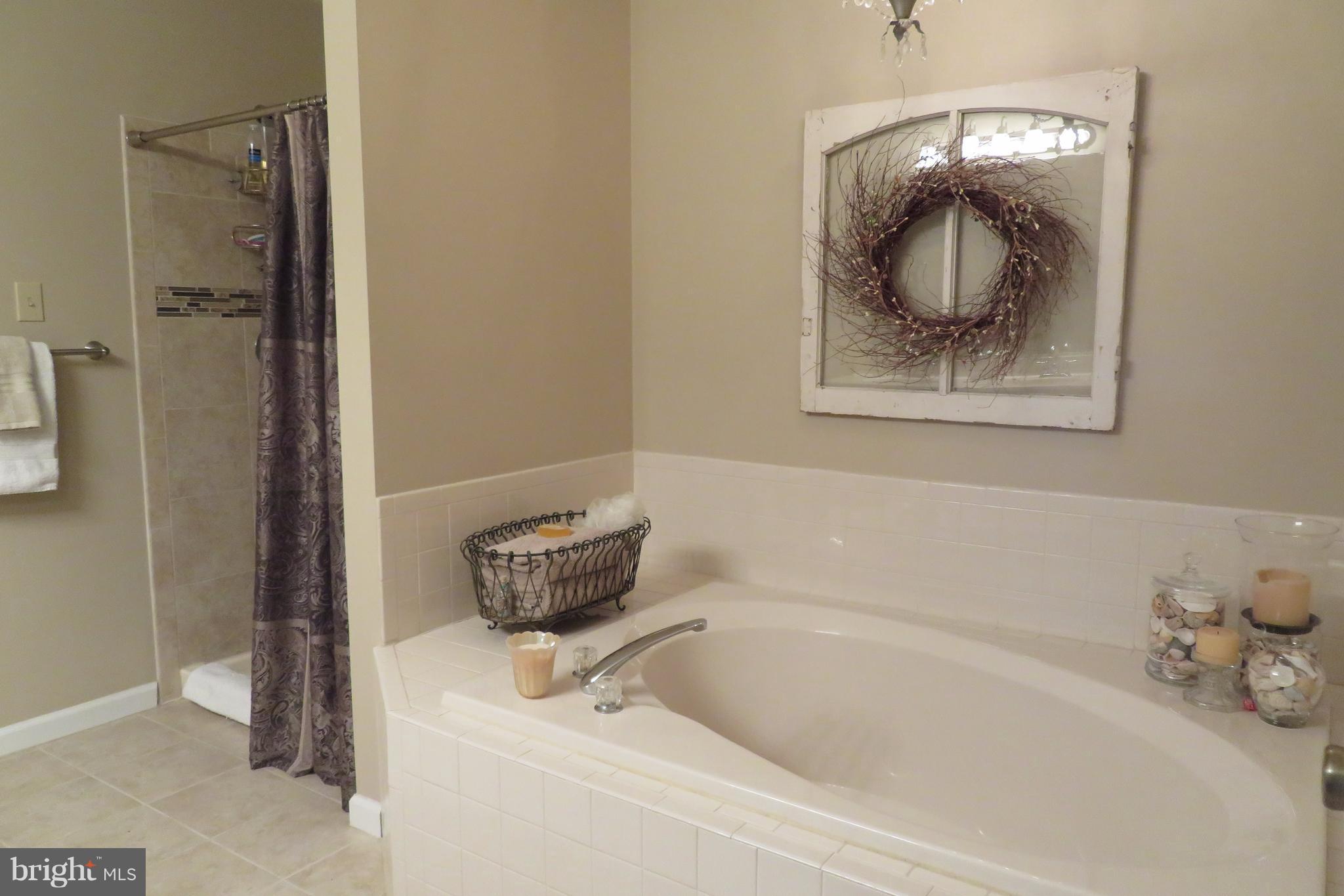 1063 Long Valley Road Westminster, MD 21158 - Photo 17 of 30 Bath (Master)