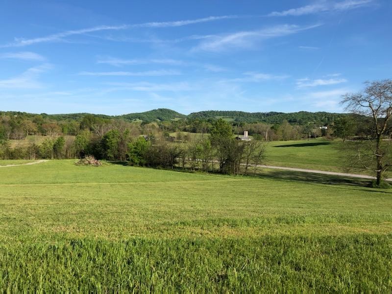 240 Fite Road Watertown, TN 37184 - Photo 1 of 7 a view of an ocean with a mountain