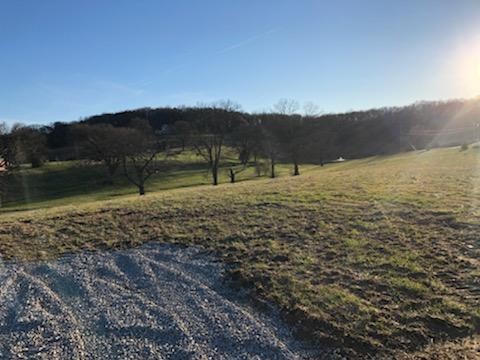240 Fite Road Watertown, TN 37184 - Photo 4 of 7 a view of a yard with a houses