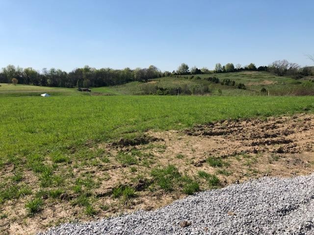 240 Fite Road Watertown, TN 37184 - Photo 7 of 7 a view of a green field with trees in the background