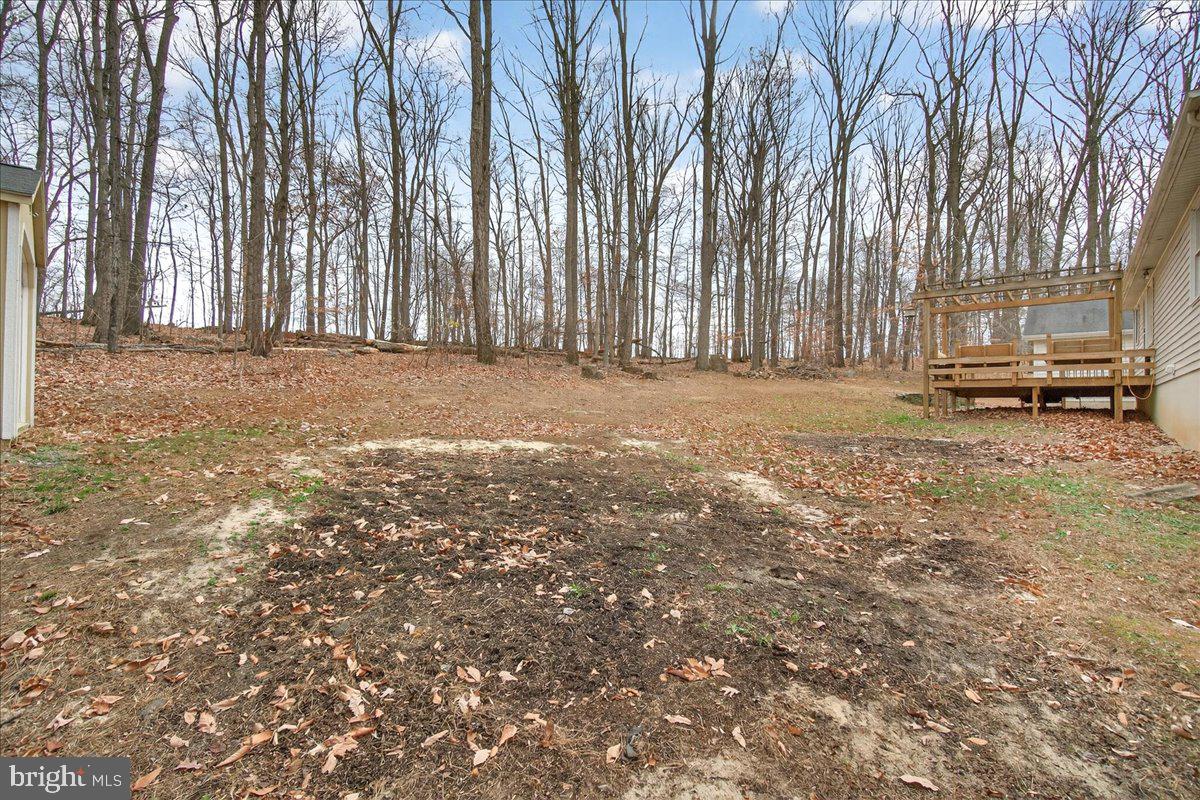 9505 Cabbage Run Road Frederick, MD 21701 - Photo 42 of 50 a view of a yard with large trees