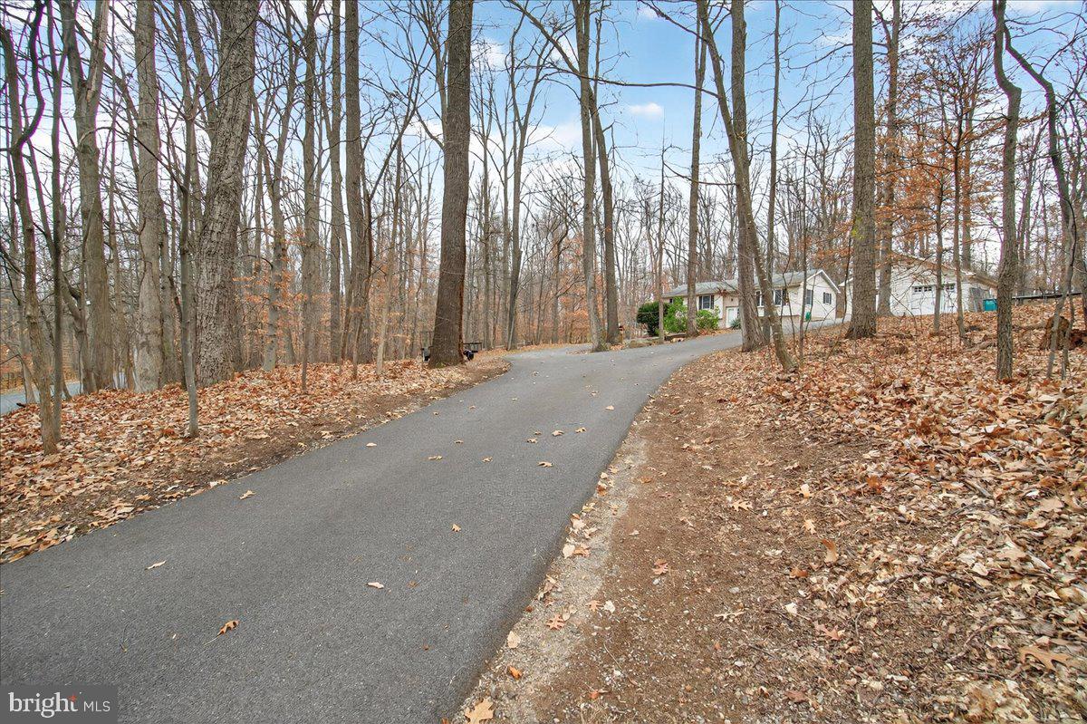 9505 Cabbage Run Road Frederick, MD 21701 - Photo 45 of 50 a view of a backyard of the house