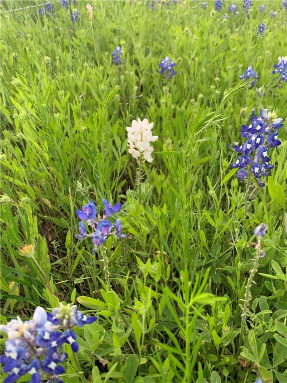 628 Wildflower McGregor, TX 76657 - Photo 3 of 58