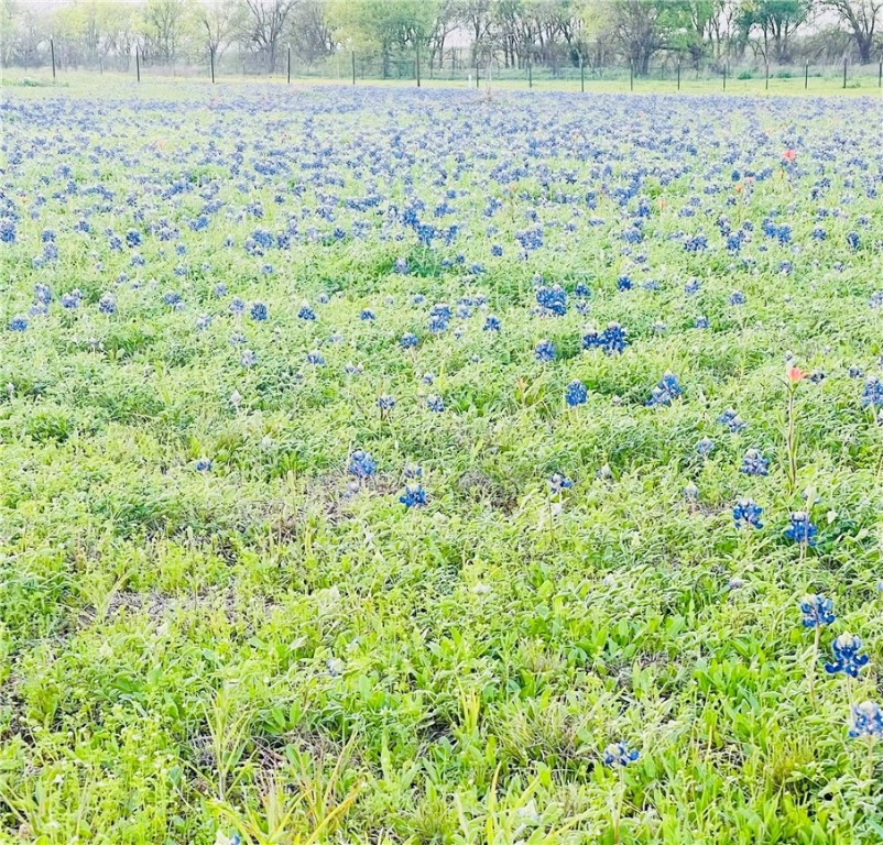 628 Wildflower McGregor, TX 76657 - Photo 50 of 58