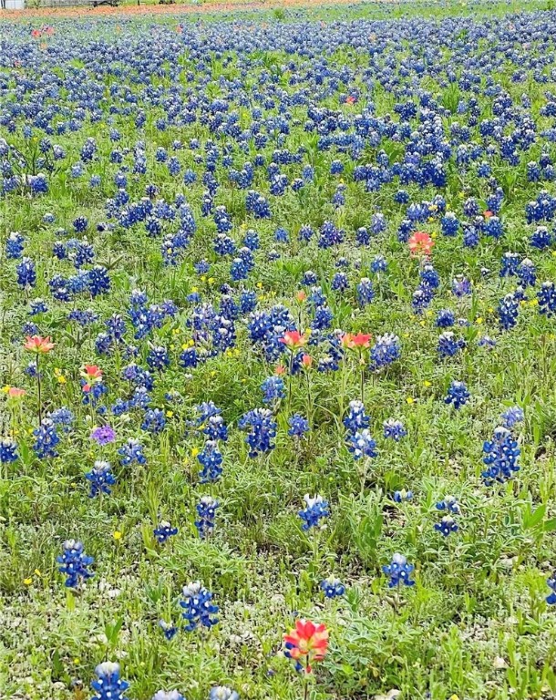 628 Wildflower McGregor, TX 76657 - Photo 58 of 58