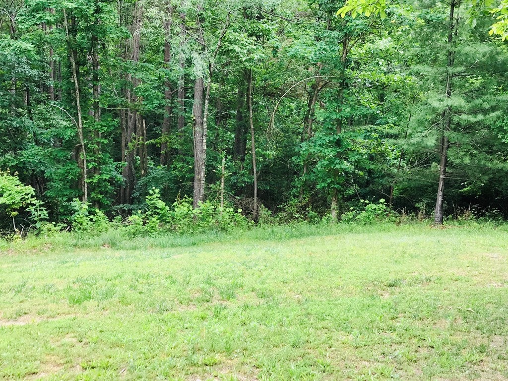 1192 Grape Lawn Road Burkeville, VA 23922 - Photo 12 of 30 Gallery Image 12