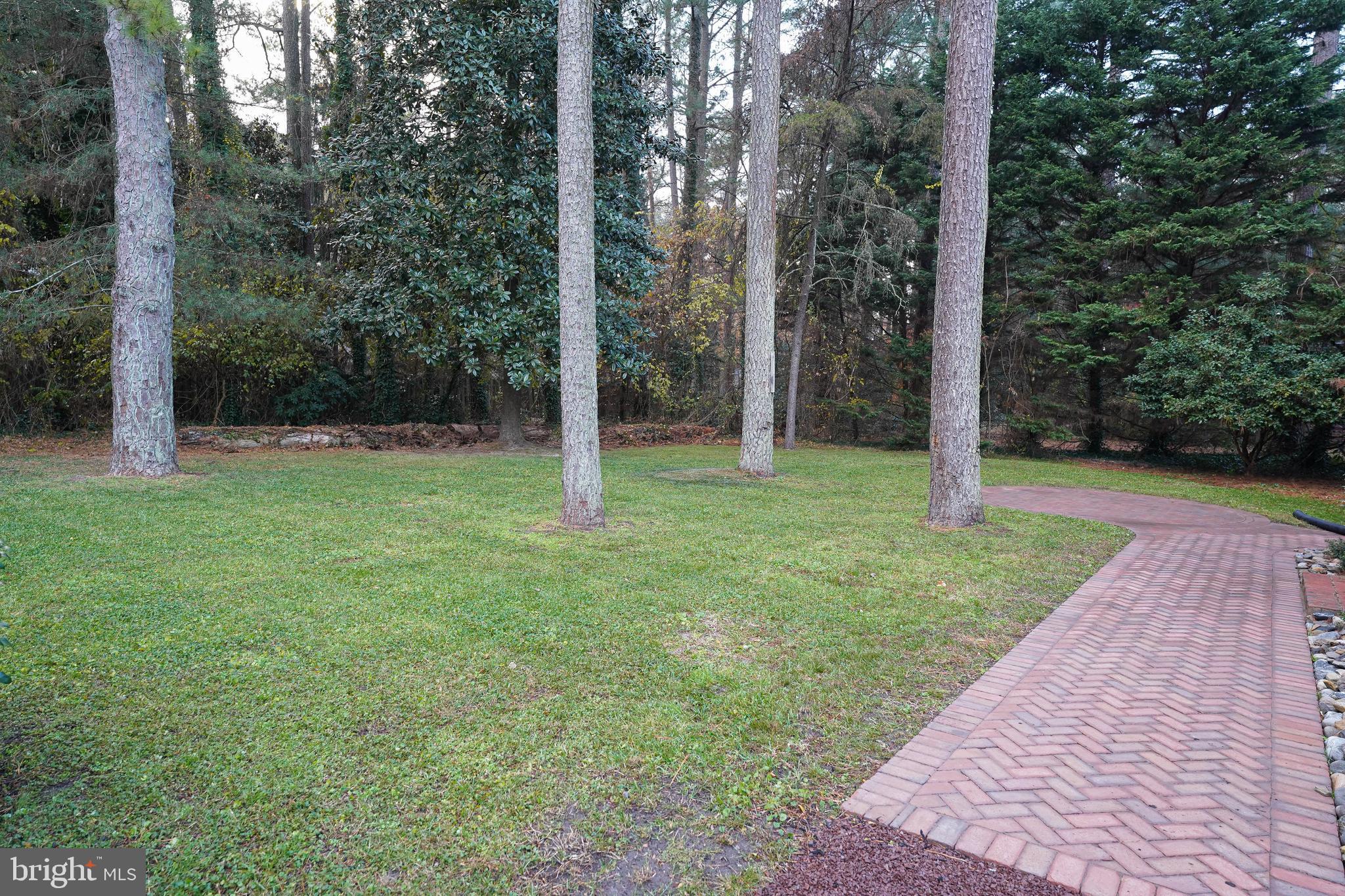 414 Pine Bluff Road Salisbury, MD 21801 - Photo 14 of 91