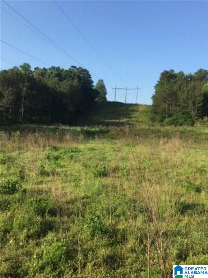 0 Marsh Drive Cleveland, AL 35049 - Photo 4 of 11
