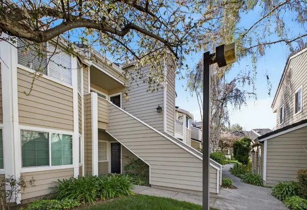 a view of a house with a tree