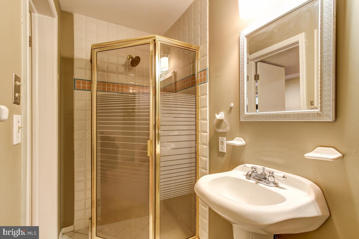 1808 Post Oak Trail Reston, VA 20191 - Photo 38 of 51 Basement Bathroom with Shower