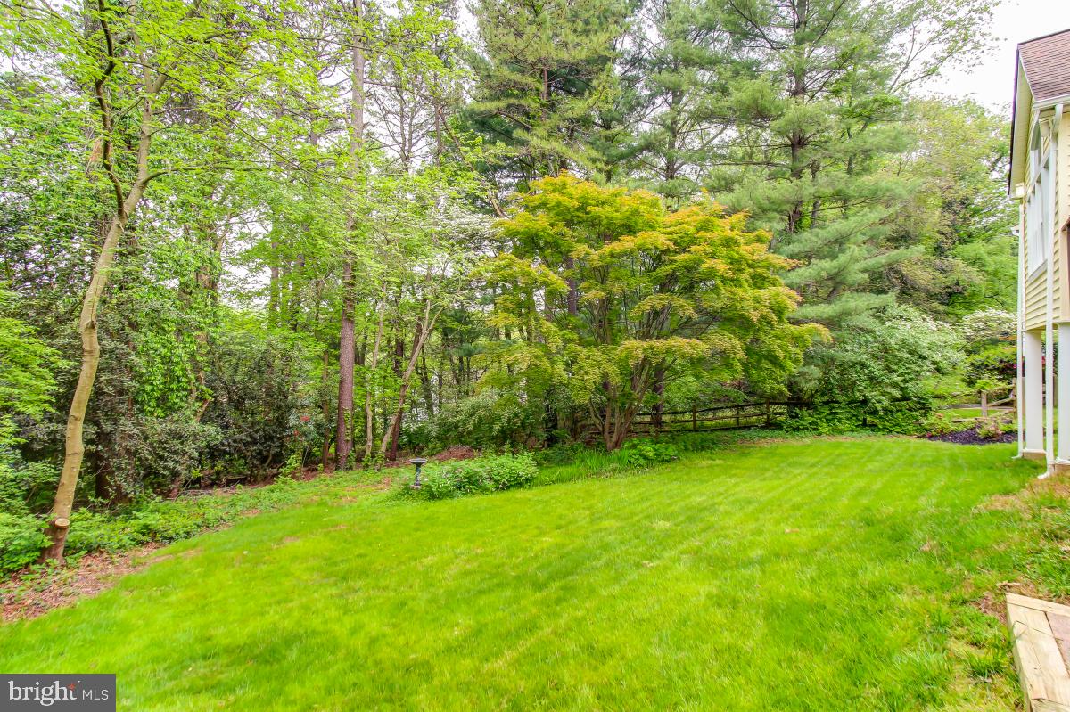 1808 Post Oak Trail Reston, VA 20191 - Photo 50 of 51 Backyard View with Serene Western Exposure